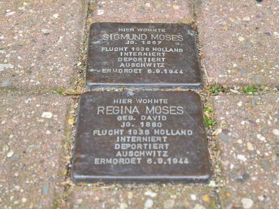 Stolpersteine von Sigfried und Regina Moses 