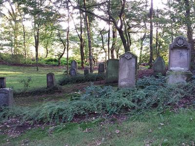 Foto von Grabsteinen am jüdischen Friedhof