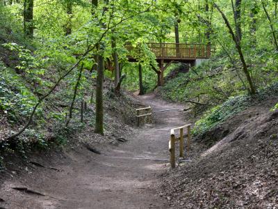 Foto: Oermter Berg Weg